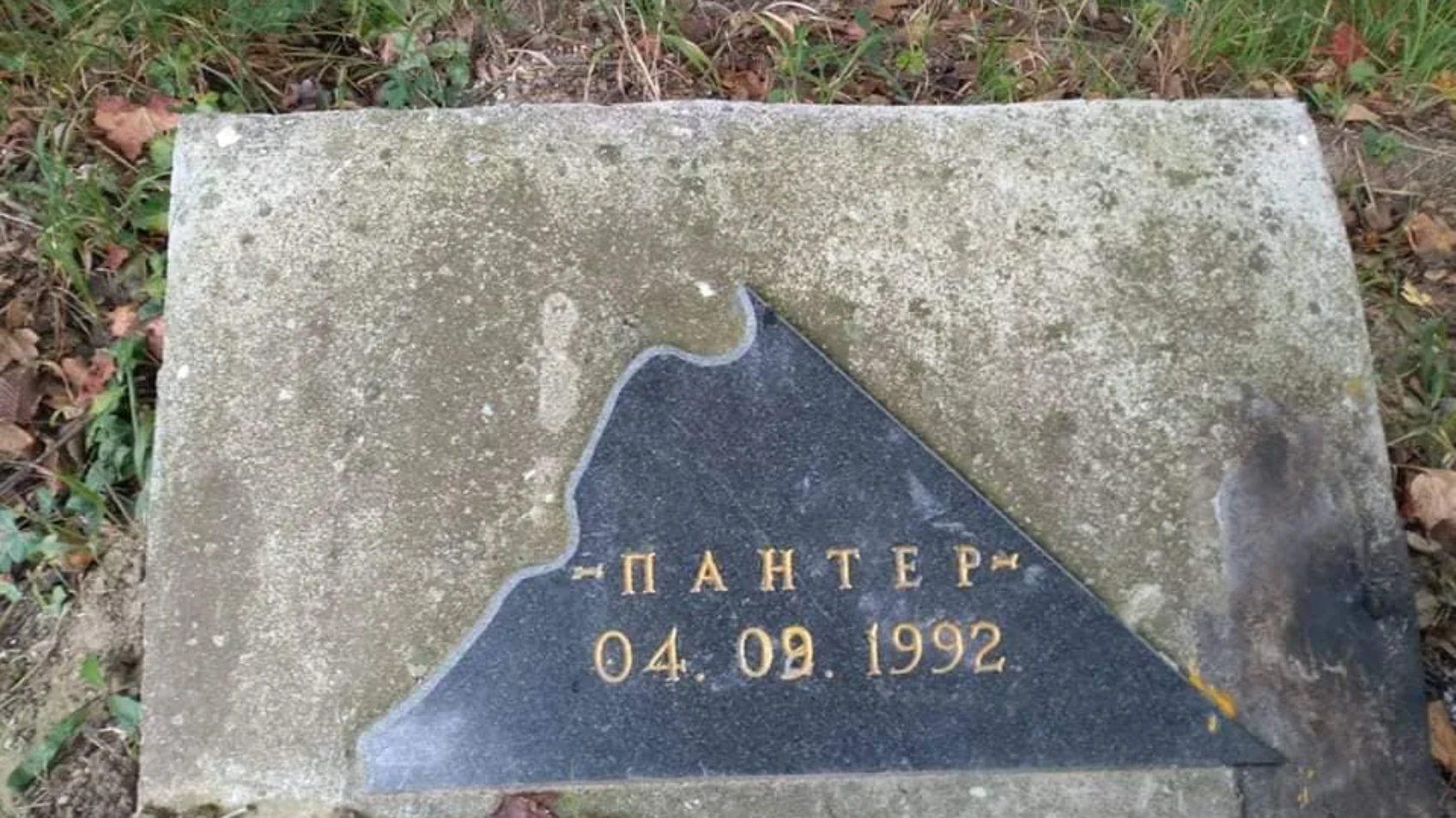panteri1