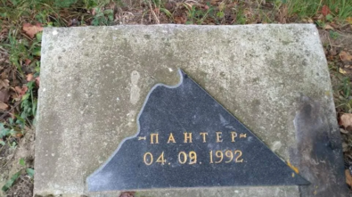 panteri1