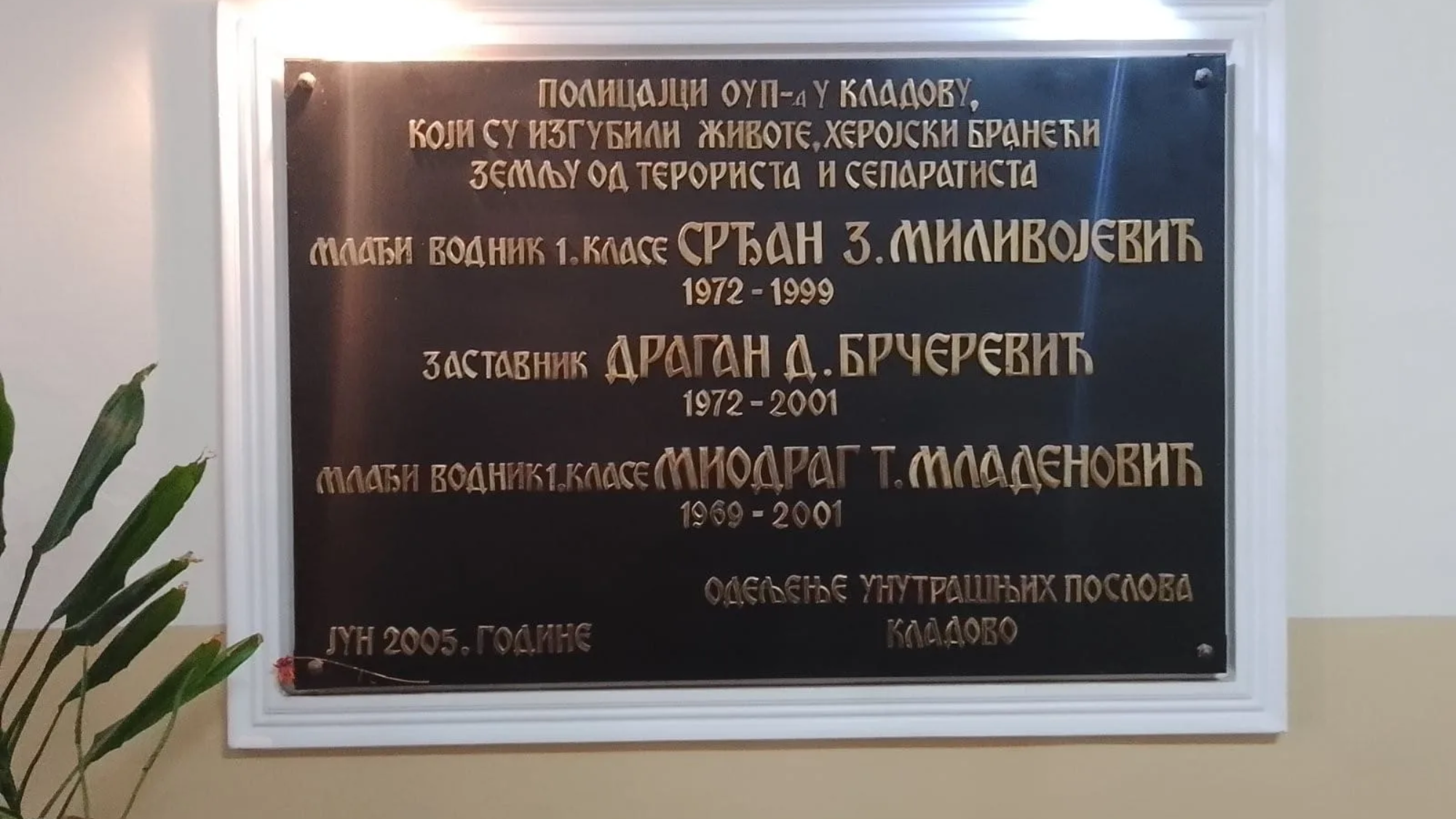 vecnipocinak1