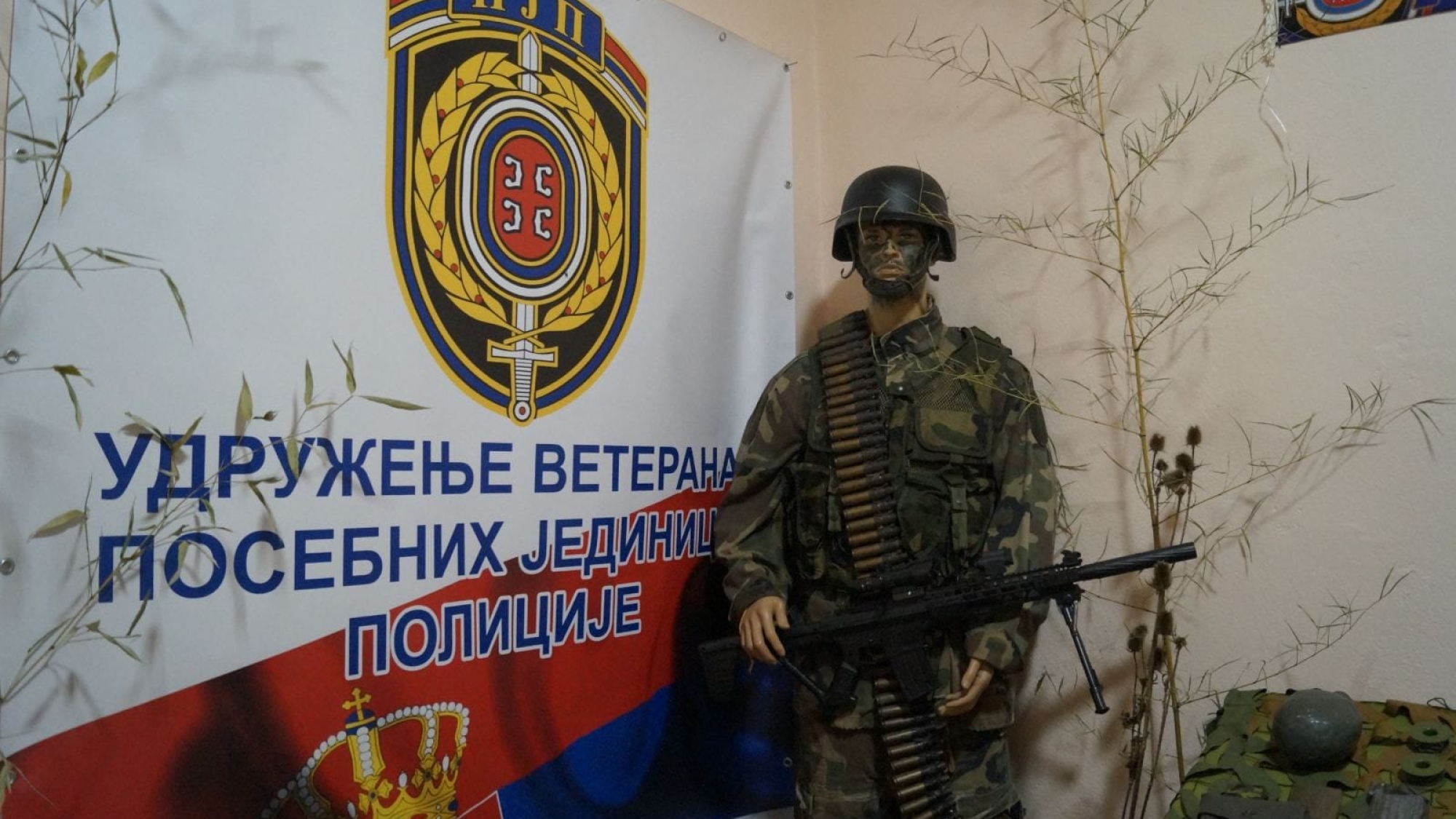 2023MitrovdanZajecar2